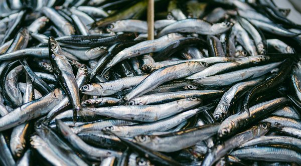 La relation entre santé émotionnelle et estime de soi